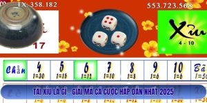 Tài Xỉu Là Gì